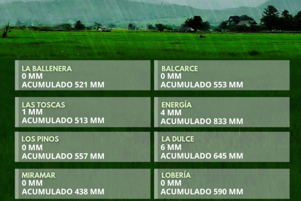 REG_LLUV_CAG_JUNIO 2026 (15)